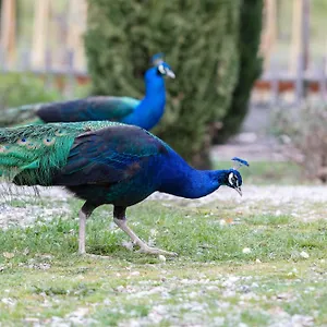 Ca'novae - Tuscany Bed & Breakfast